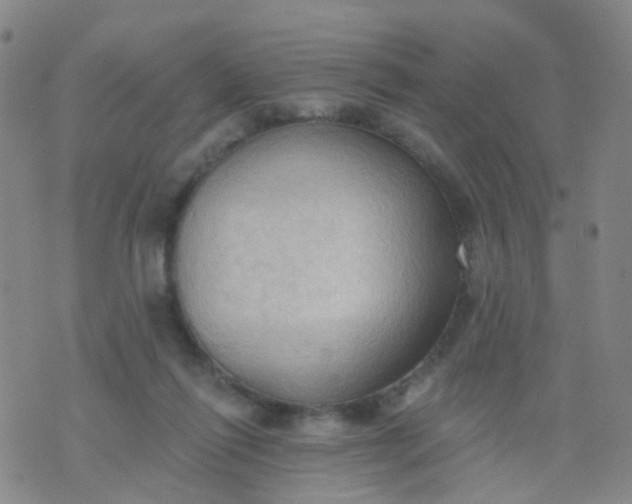 X0000074300262200609081924