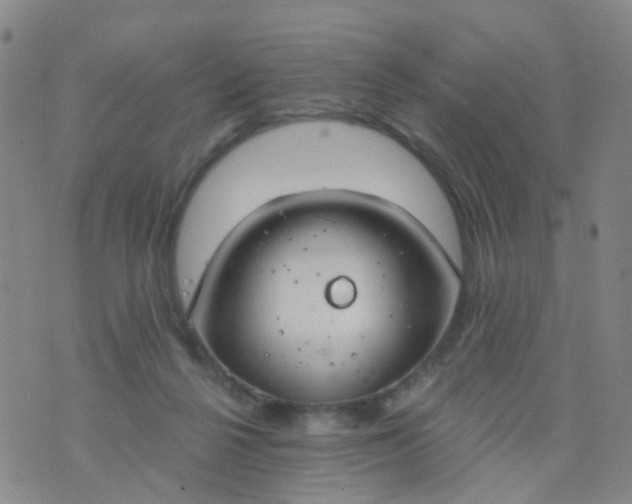 X0000074300264200609081924