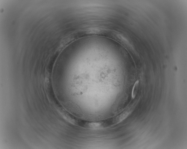 X0000074300265200609081924