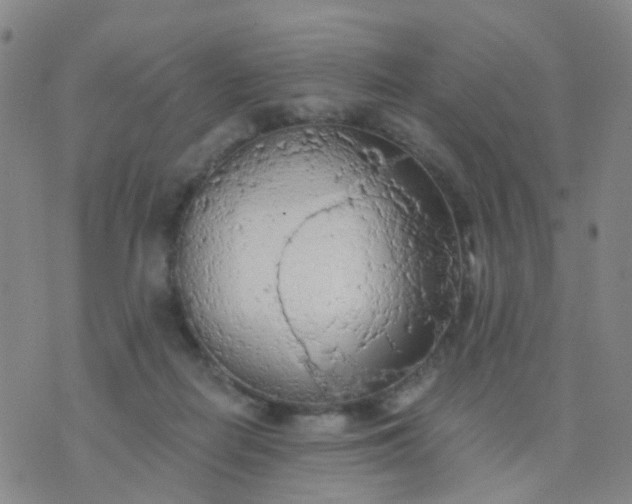 X0000074300266200609081924