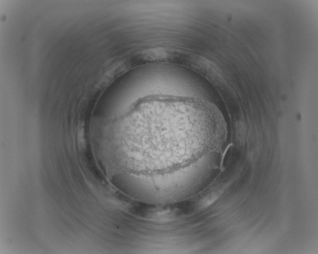 X0000074300267200609081924