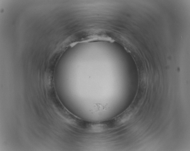 X0000074300268200609081924