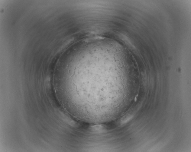 X0000074300269200609081924