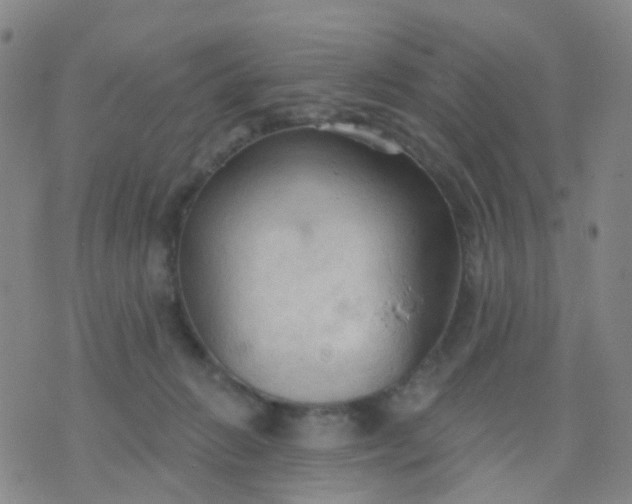 X0000074300270200609081924