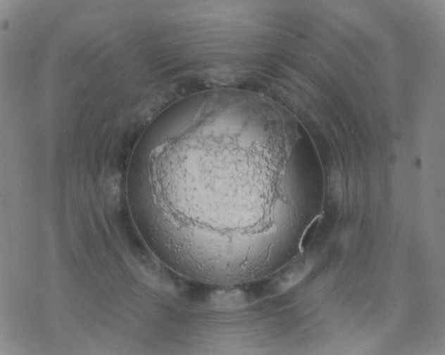 X0000074300271200609081924