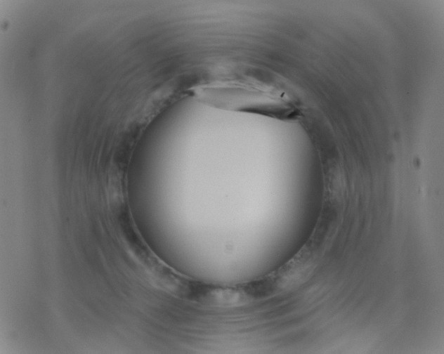 X0000074300272200609081924