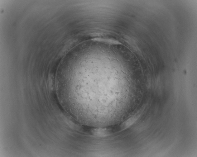 X0000074300273200609081924