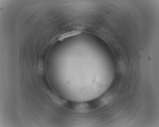 X0000074300274200609081925