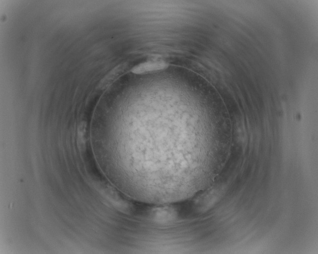 X0000074300275200609081925