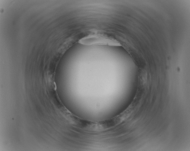 X0000074300276200609081925