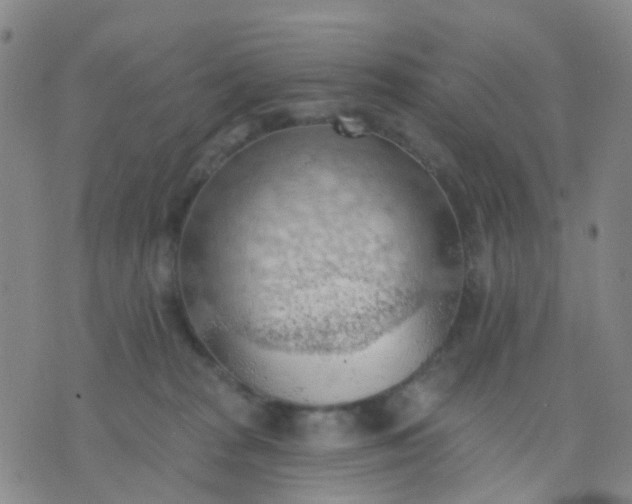 X0000074300277200609081925