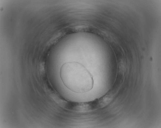 X0000074300278200609081925