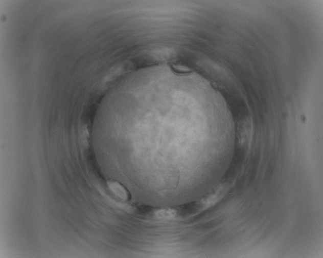 X0000074300279200609081925