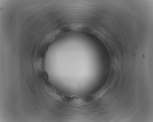 X0000074300280200609081925