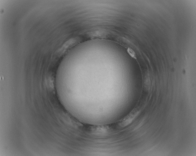 X0000074300282200609081925