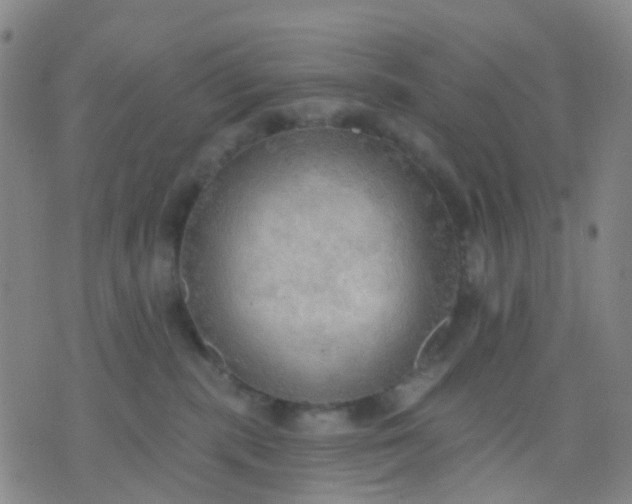 X0000074300283200609081925