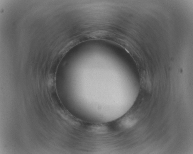 X0000074300284200609081925