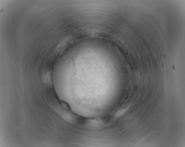 X0000074300286200609081925