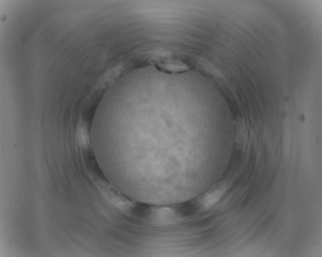 X0000074300287200609081925