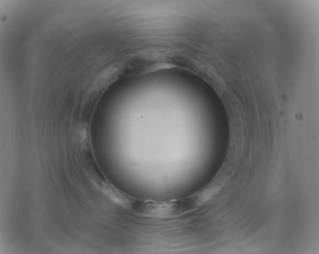 X0000074300288200609081925