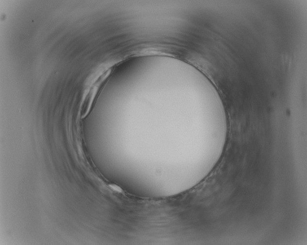 X0000074300289200609081924