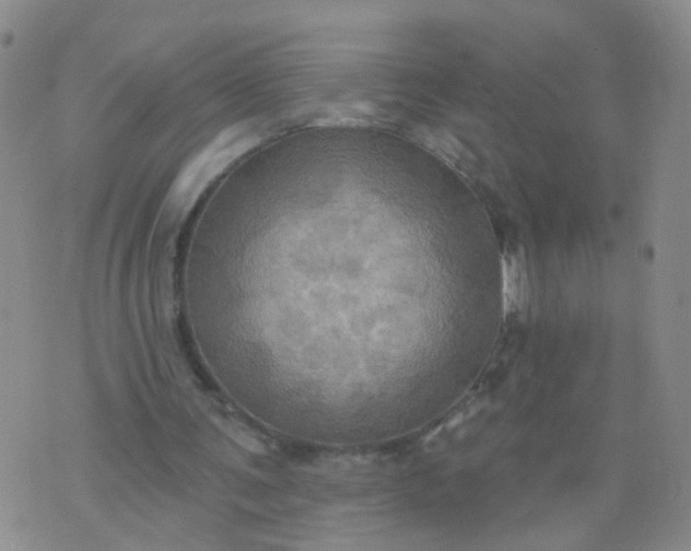 X0000074300291200609081924