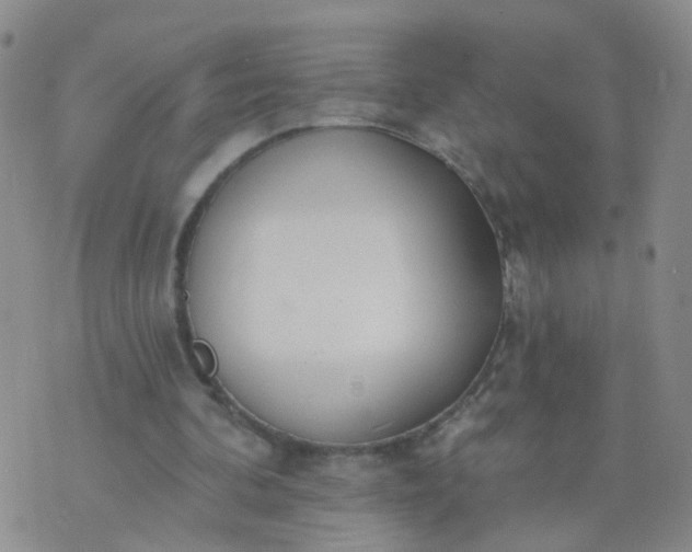 X0000074300292200609081924