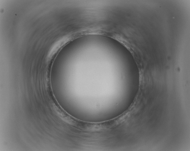 X0000074300293200609081924