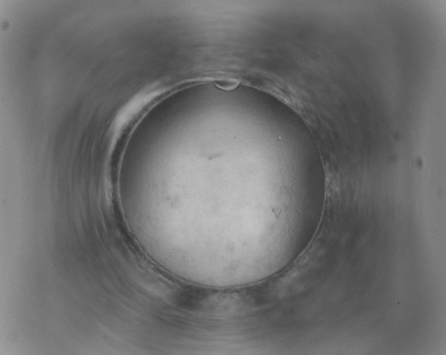 X0000074300294200609081924