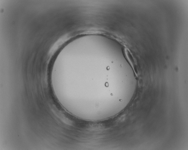 X0000074300296200609081924