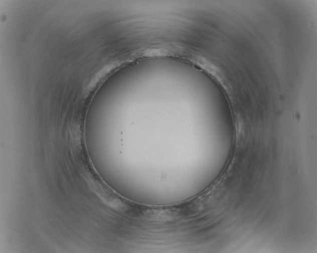 X0000074300297200609081924