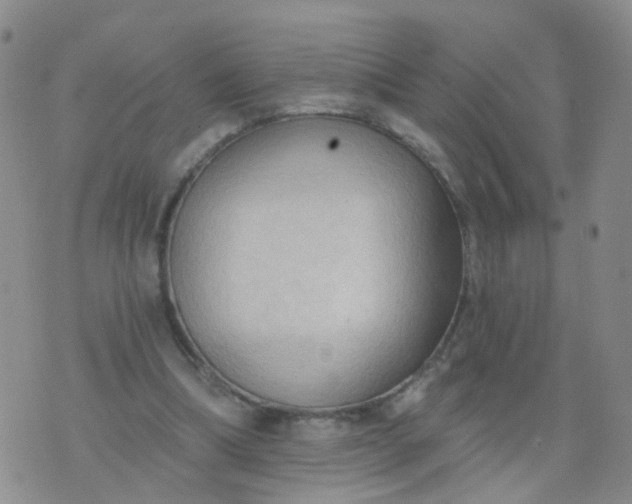 X0000074300298200609081924