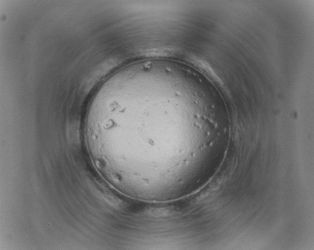 X0000074300299200609081924