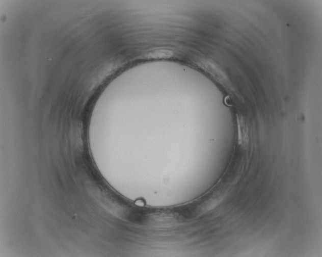 X0000074300300200609081924