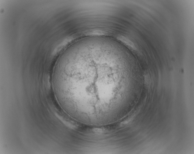 X0000074300302200609081924