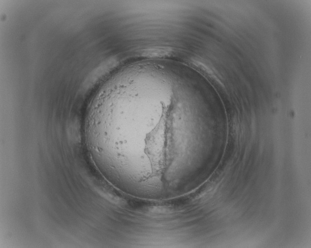 X0000074300303200609081924