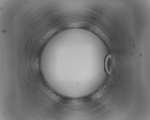 X0000074300305200609081924