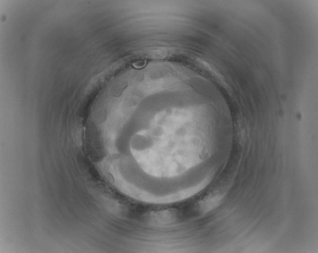 X0000074300307200609081924