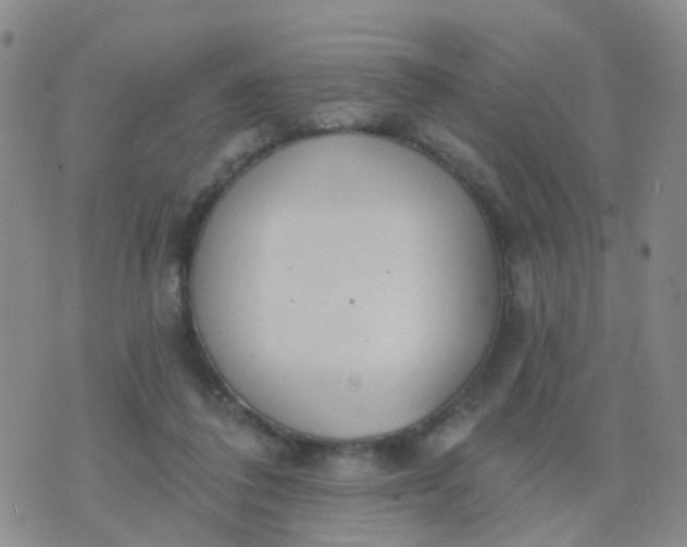 X0000074300308200609081924