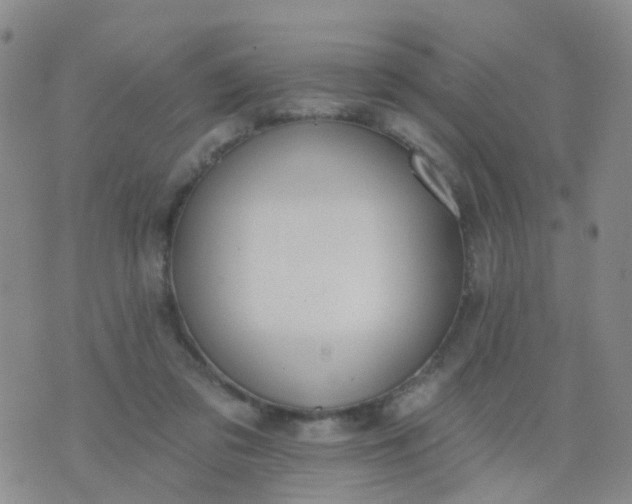 X0000074300309200609081924