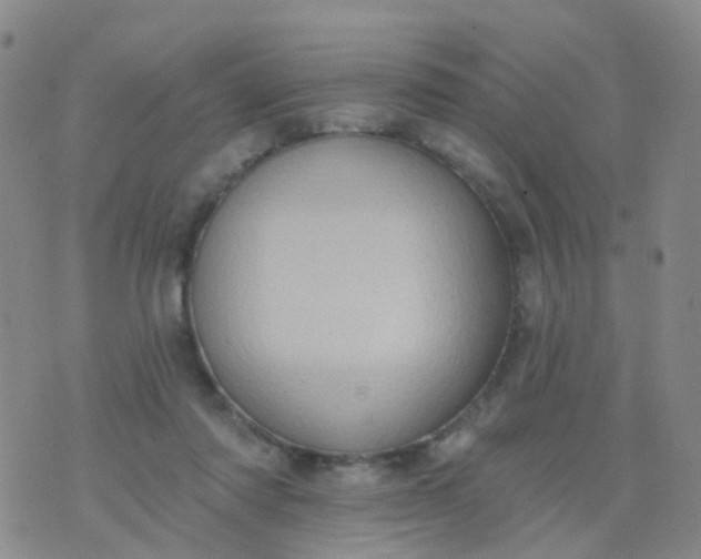 X0000074300310200609081924