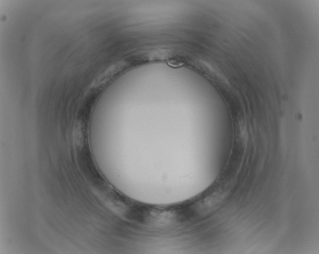 X0000074300311200609081924