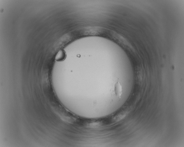 X0000074300312200609081924