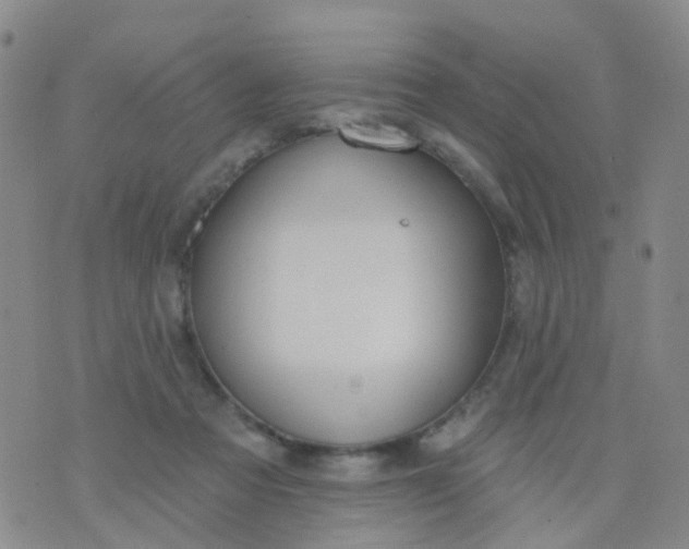 X0000074300313200609081924