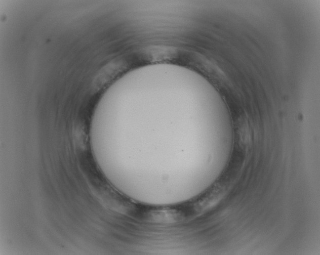 X0000074300316200609081924