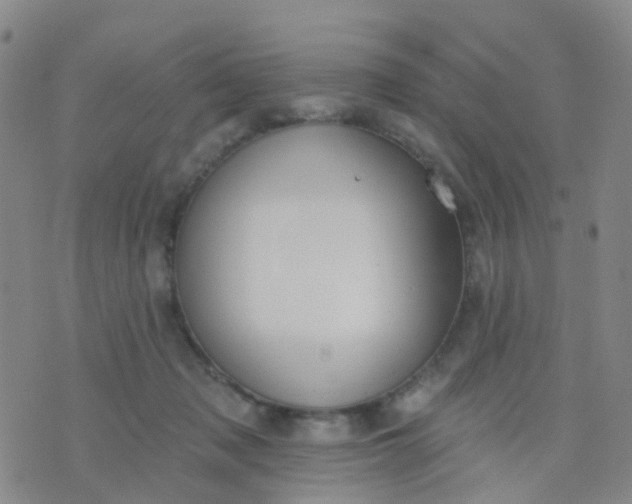 X0000074300317200609081923