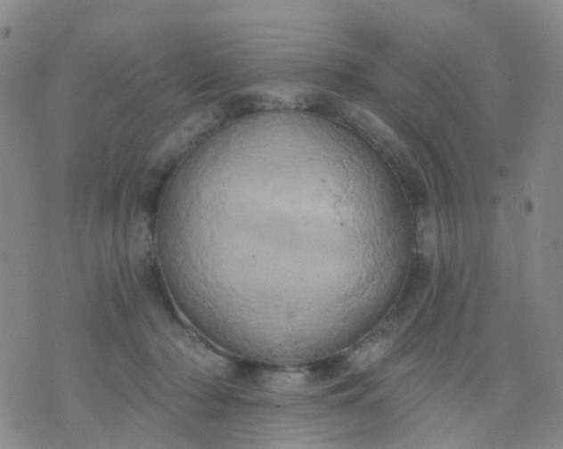 X0000074300318200609081923