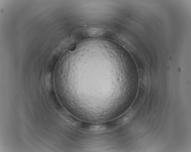 X0000074300319200609081923