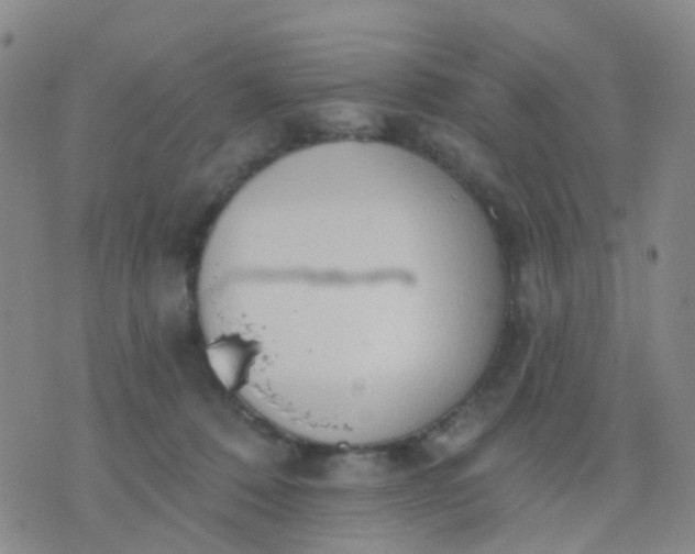 X0000074300320200609081923