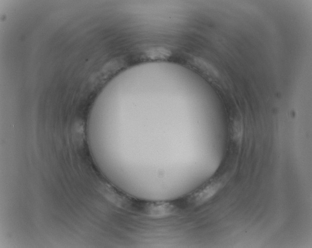 X0000074300321200609081923